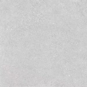 Fossil Stone - MEDIUM