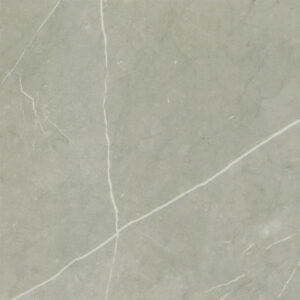 SUBURBAN PROJECT - TAUPE